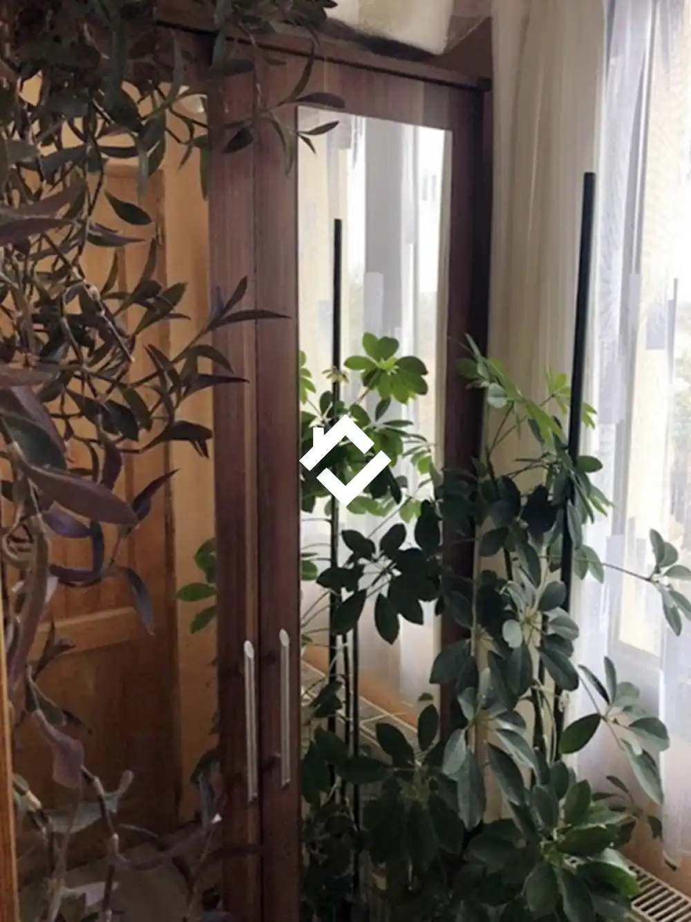 Veszprém megye - Csopak