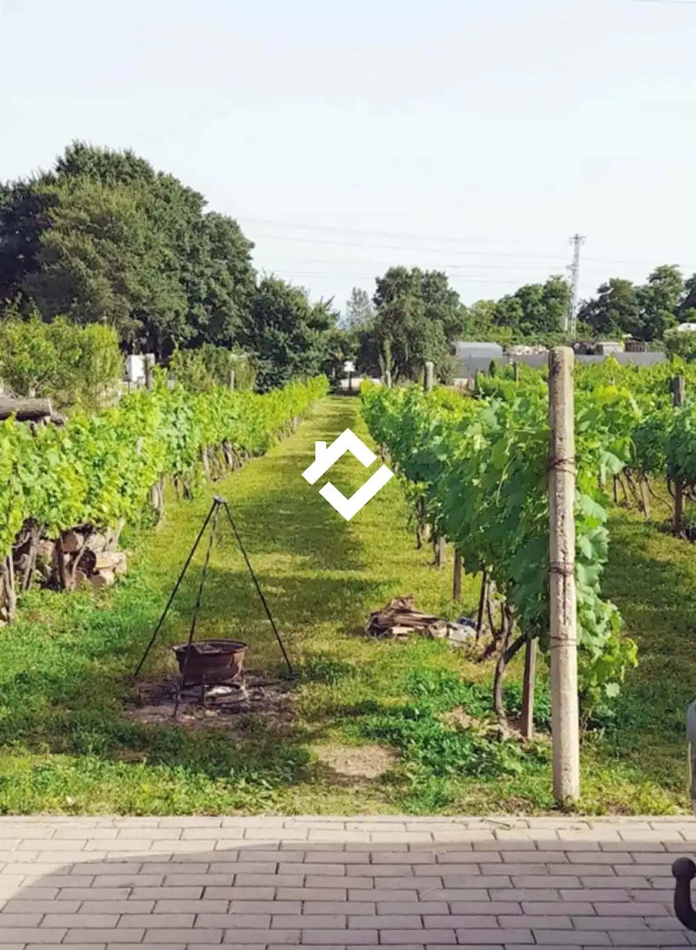 Veszprém megye - Csopak